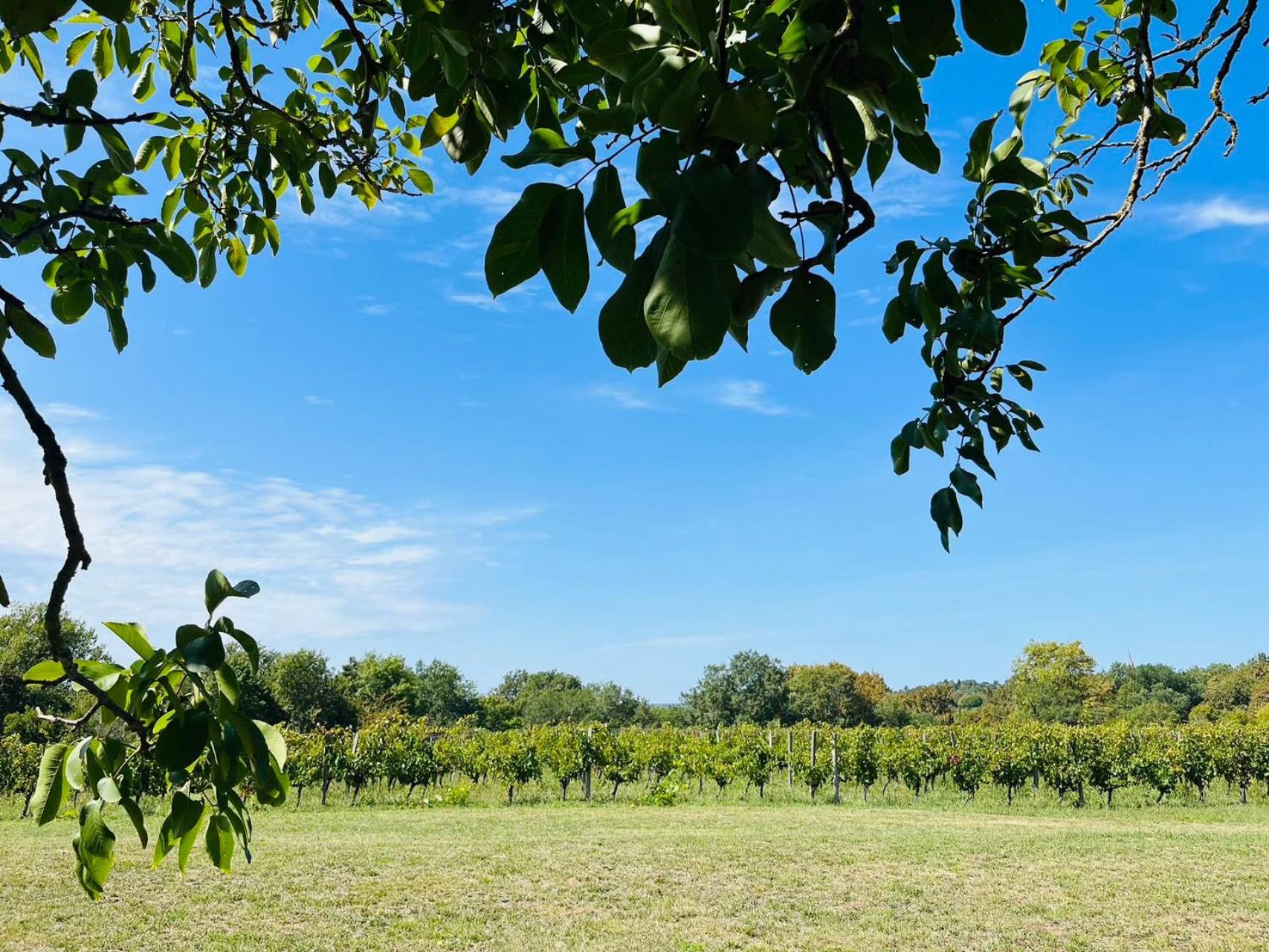 Bordeaux Chateau Lafleur Quinsac  Εξωτερικό φωτογραφία